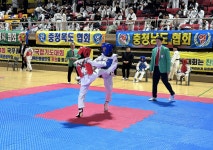 24회 국무총리기 합기도대회..우승 충남, 준우승 경북