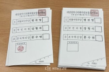 탄핵 정국이 집어삼킨 4·2 대전시의원 보궐선거