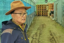 국내 양봉산업, 내우외환에 직면했다