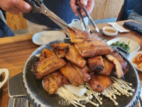 시간을 돌리는 선로 위, 감성 한 칸 충남 레트로낭만열차