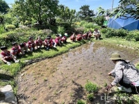당진시, 2025년 상반기 어린이 농부학교 인기