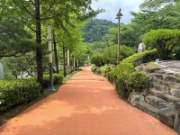 대전 중구, 뿌리공원 산책로 정비 완료