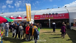 네이버 검색 결과 사진 6