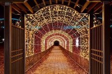 합강캠핑장, 빛으로 밤을 밝혀요