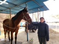 말과 사람이 다시 숨을 고르는 곳, 예산 '말길-홀스브릿지'