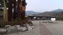 서울대공원 설맞이 한마당