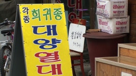 [집중리포트]수도권 호수공원 점령한 외래종
