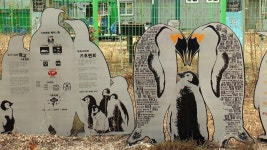 ‘친환경 교육’ 재미있게 배워요