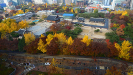 차 없는 덕수궁길 다양한 문화행사 열려