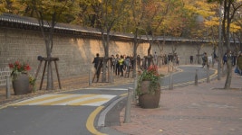 막혀있던 덕수궁 돌담길, 100m 개방