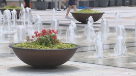 여름철 바닥분수, 위생관리 잘 되나