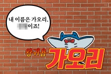 [tbs/시방 카드뉴스] 들어는 봤니 가오리역?