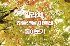 [tbs/시방 카드뉴스] 얄라차, 하늘연달 아흐레, 순우리말 톺아보기