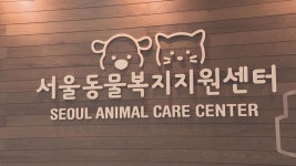 서울동물복지지원센터 28일 개관