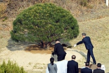 남북정상 평화와 번영 상징하는 소나무 공동기념식수