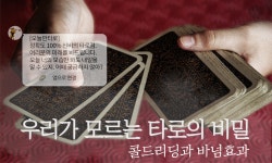 [카드뉴스] 타로 & 심리테스트엔 이런 비밀이