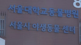 서울야생동물센터, 멸종위기·천연기념물 등 860여 마리 구조
