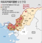 경기 연천서 아프리카돼지열병 확진…48시간 일시이동중지명령
