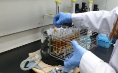 경기도 농산물 115건 기준치 초과 농약 검출