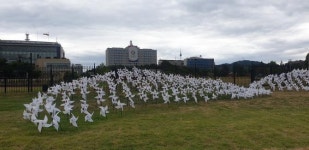 [인싸_이드] 발암 물질 용산공원, 시민 공원 될 수 있나?