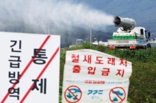 강원 동해 가금농장서 올가을 첫 고병원성 AI