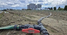 최악가뭄 강릉 절수 본격화…공중화장실·수영장 운영 중단