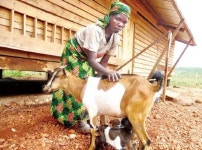 [사랑이 피어나는 곳에] 성금 100억 돌파, 16년 결산
