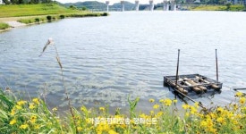 [긴급진단] 강·농민·국민 모두를 살리는 물 정책이 필요하다