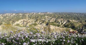 [이창훈 기자의 예수님 이야기] (26) 세례자 요한(루카 7,18-35)