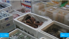 WTO 한.일 수산물 분쟁, 한국 승리