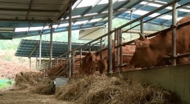 ‘가톨릭 환경상 대상’ 안동교구 쌍호분회를 가다