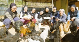 시골언니들과 닭 50마리가 펼치는 생명의 날갯짓 ‘푸다닥’