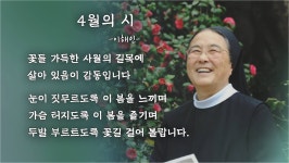[오프닝] 정수용, 하느님 자비주일 생명의 봄