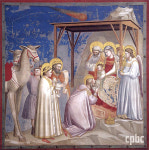 인류의 빛이신 주님께서 세상의 구원자이심이 드러나다