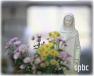 [독자마당] 봄이 오는 여울목