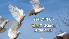 [오프닝] 정전 70주년, 참 평화를 기도합시다.