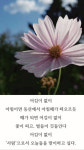 안동교구, 2024 주보 게재 사진·글 공모
