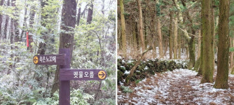 5월 목장길 따라