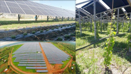 재생에너지 사용 솔선수범,,, 교황 태양광 발전 건설 지시