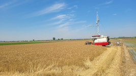 [농민 주일 특집] 우리밀로 만든 제병, 신앙과 환경을 위한 선택