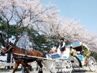 지하철 문화 1번지(11)4호선 경마공원역