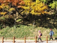 (지하철문화1번지)5호선 아차산역