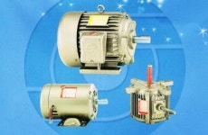 산업을 움직이는 힘, 모터- 을지전기