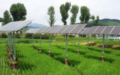 (신재생에너지 특집) 한국수력원자력