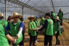 건강관리협회 서울서부지부, 1사1촌 봉사활동 실시 