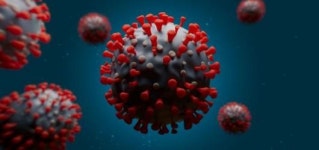 씨엘바이오, 코로나19 잡는 피톤치드 조성물 특허 긴급 출원