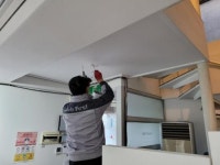 삼진일렉스, 이한열기념관에서 특별 봉사활동