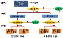 방사선, 과도한 걱정은 금물…적절한 치료로 일상생활 가능