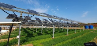 (르포) 세계가 주목하는 한국의 영농형 태양광 국가 MW급 태양광 R&BD 실증센터