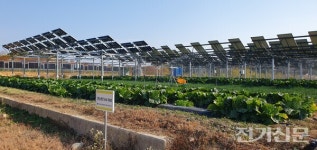 영농형 태양광의 효과 A to Z